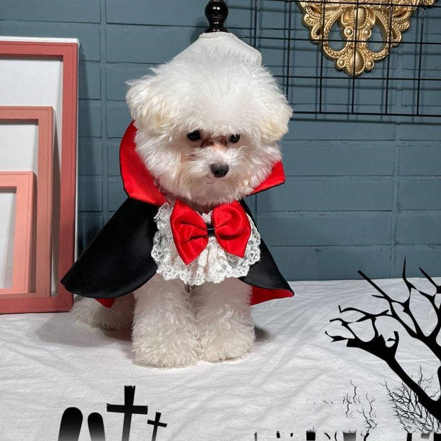 Pet Halloween Vampire Cloak Windbreaker